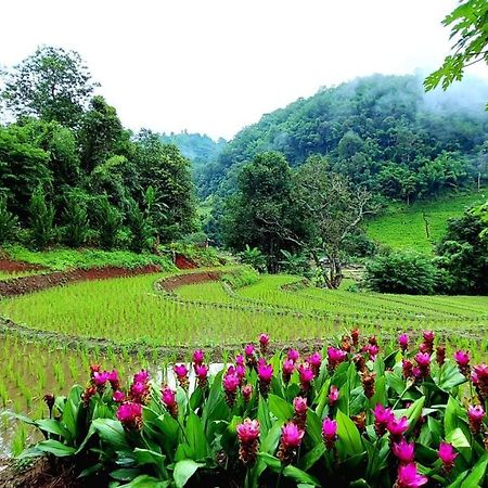 KowitFarmstay Ban Mae Pan Noi Zewnętrze zdjęcie