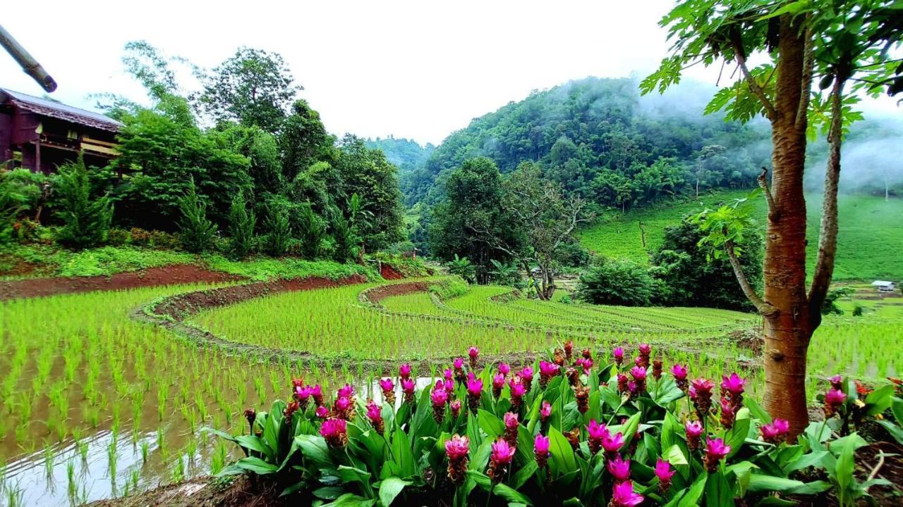 KowitFarmstay Ban Mae Pan Noi Zewnętrze zdjęcie