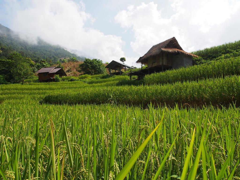 KowitFarmstay Ban Mae Pan Noi Zewnętrze zdjęcie