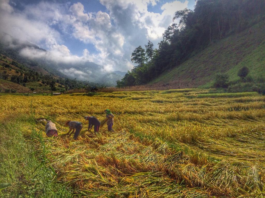 KowitFarmstay Ban Mae Pan Noi Zewnętrze zdjęcie