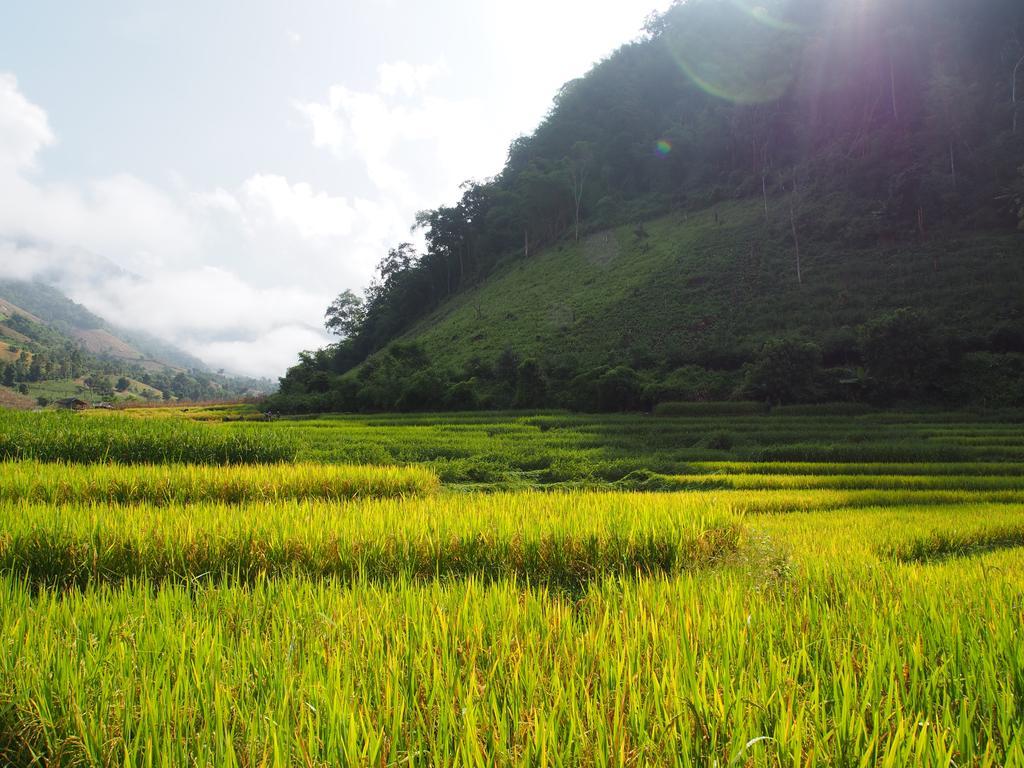 KowitFarmstay Ban Mae Pan Noi Zewnętrze zdjęcie