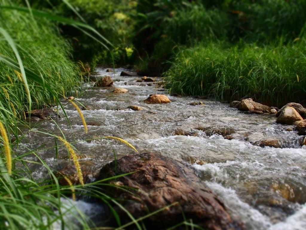 KowitFarmstay Ban Mae Pan Noi Zewnętrze zdjęcie