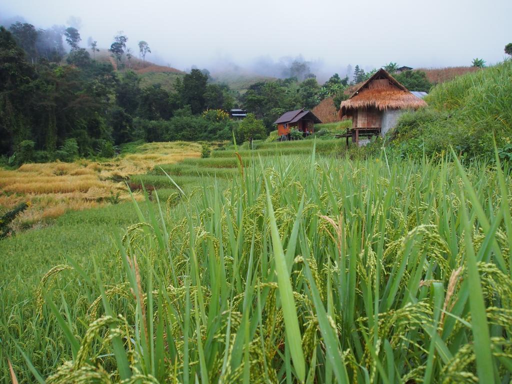 KowitFarmstay Ban Mae Pan Noi Zewnętrze zdjęcie