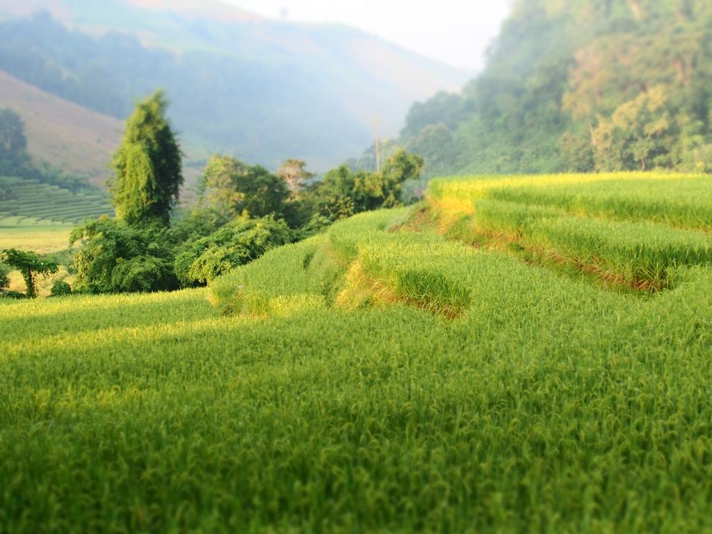 KowitFarmstay Ban Mae Pan Noi Zewnętrze zdjęcie