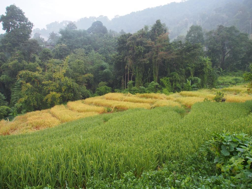 KowitFarmstay Ban Mae Pan Noi Zewnętrze zdjęcie