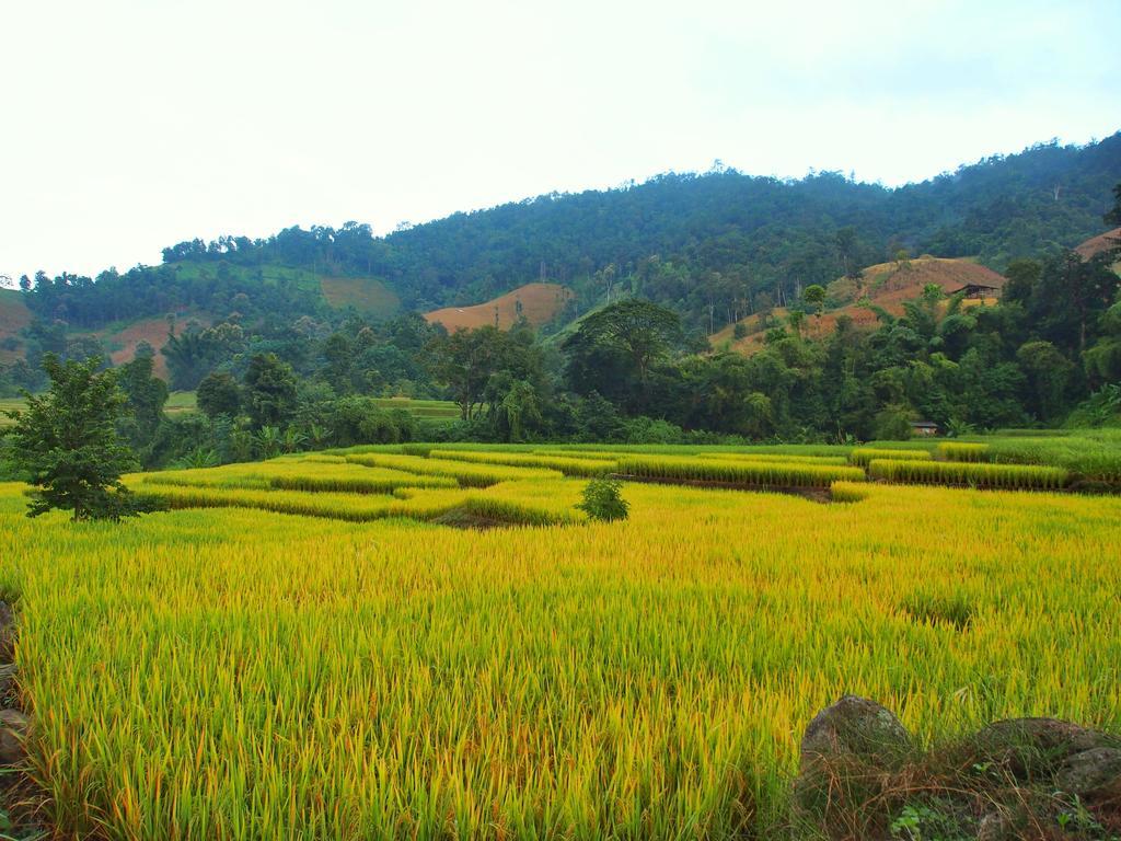 KowitFarmstay Ban Mae Pan Noi Zewnętrze zdjęcie
