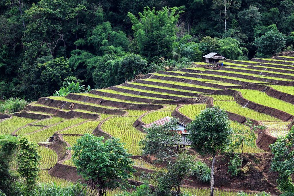 KowitFarmstay Ban Mae Pan Noi Zewnętrze zdjęcie