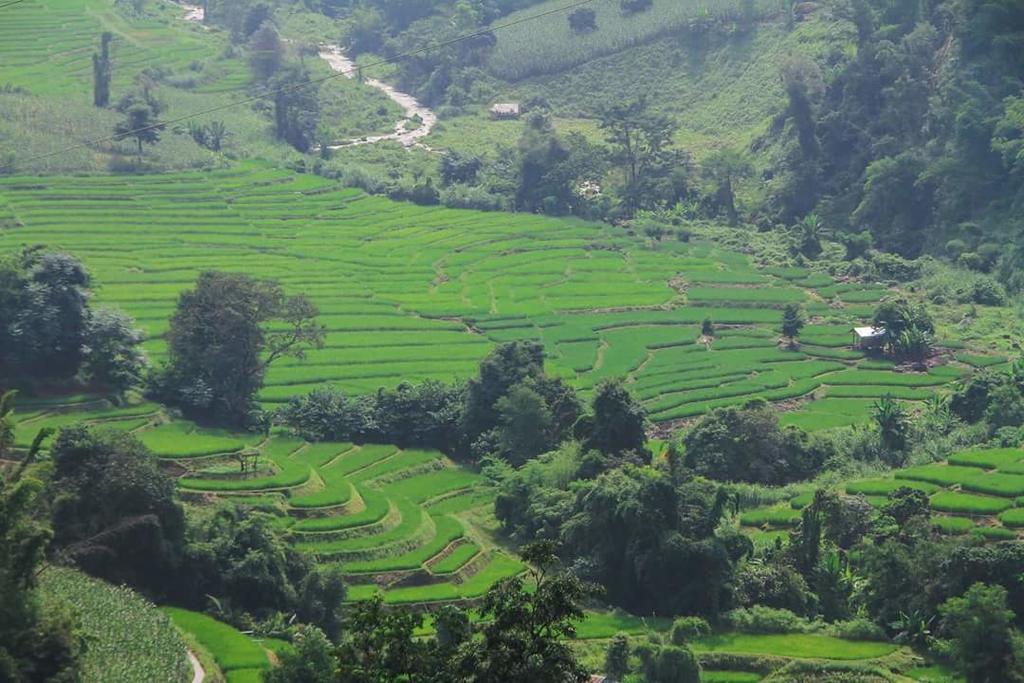 KowitFarmstay Ban Mae Pan Noi Zewnętrze zdjęcie