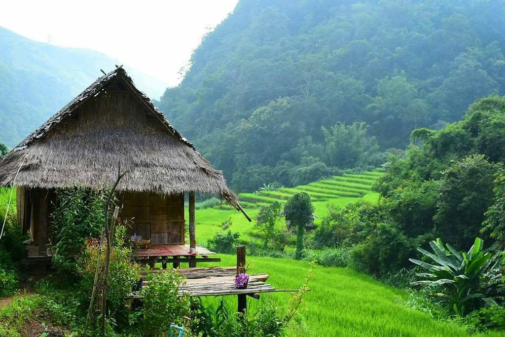 KowitFarmstay Ban Mae Pan Noi Zewnętrze zdjęcie