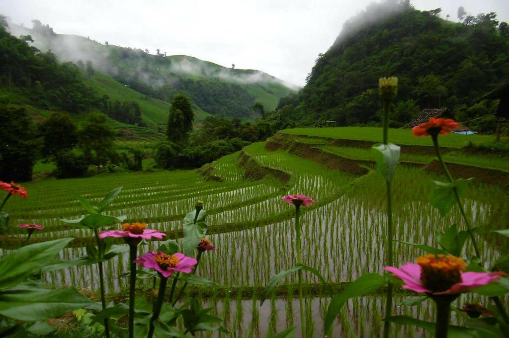 KowitFarmstay Ban Mae Pan Noi Zewnętrze zdjęcie
