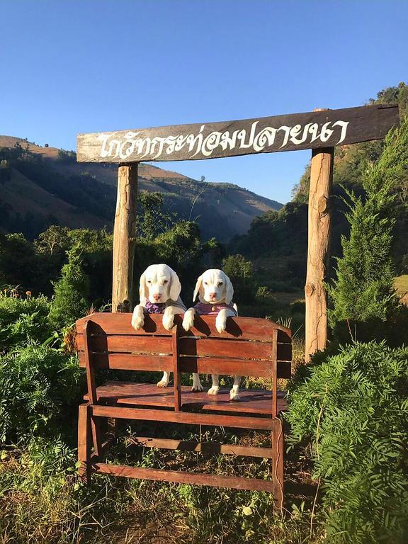 KowitFarmstay Ban Mae Pan Noi Zewnętrze zdjęcie